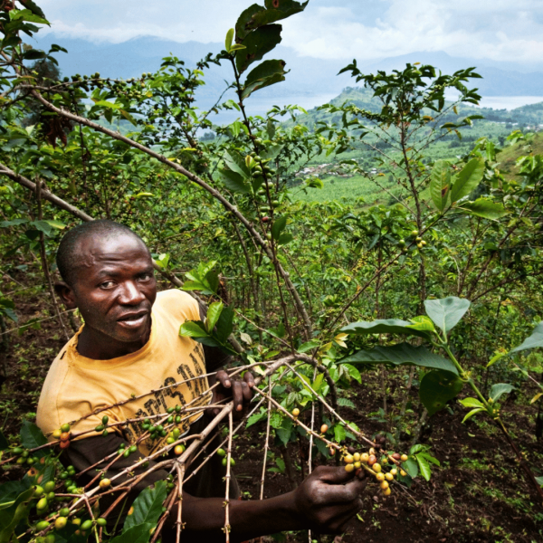 Kivu de la République Démocratique du Congo